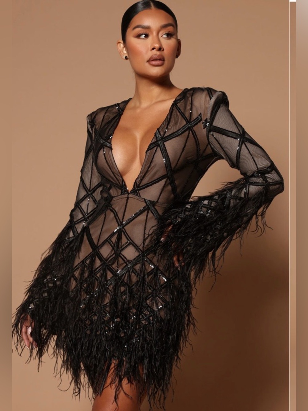 Sheer Black Feather Fringe Mini Dress